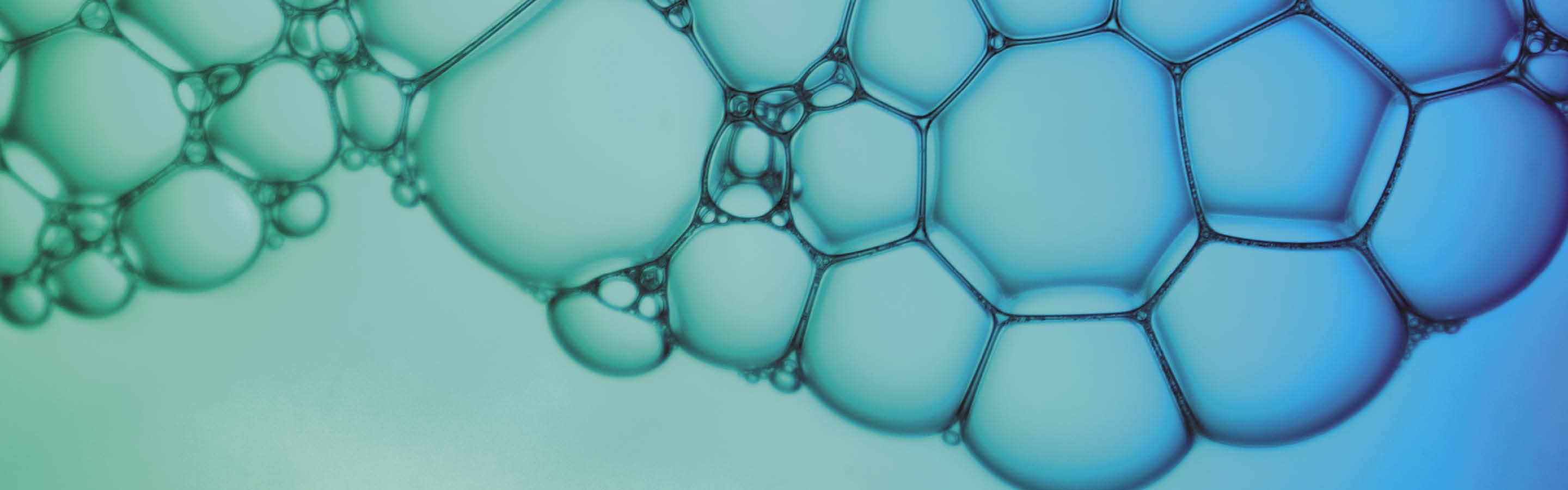 moleculas ligadas como bolhas